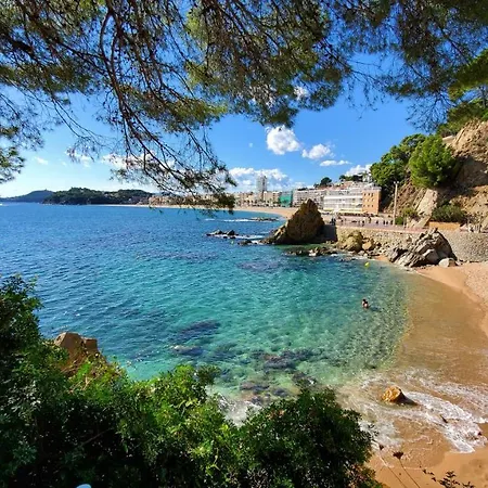 Apartment Paradise Lloret Lloret de Mar