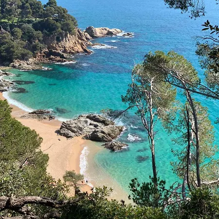 Paradise Lloret