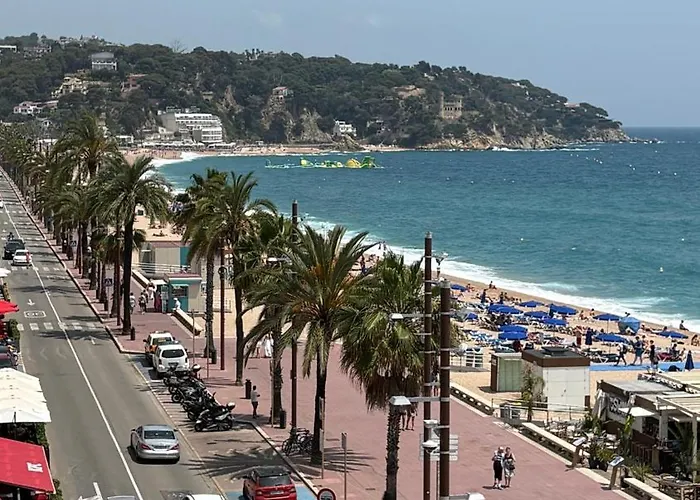 Paradise Lloret *